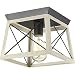 Progress Lighting P350022-143 Briarwood Graphite One-Light Flush Mount,