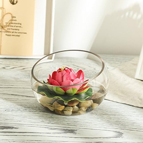 Clear glass vase/ Lotus package / flower artificial flower set the living room/Water culture hydroponic vase the vase bottle oblique-C