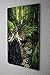 LEotiE SINCE 2004 Tin Sign Selina Fenech Fairies Fantasy art goddess path Mermaid Forest 20x30 cm metal shield Wall Art Deco decoration retro Advertising Vintage