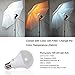 Emart Studio LED Photography Umbrella Lighting Kit, 500W 5500K LED Photo Lights for Camera Lighting, Continuous Lighting, Portrait Video Shooting - Umbrella Reflector Light