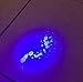 Pet Urine Detector - Ultraviolet Blacklight Flashlight By Ultra Light - Discover Dog And Cat Stains