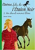Ebène, fils de l'Etalon Noir, Tome 2 : Un cheval nommé Ebène by 