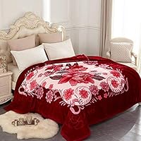JYK Heavy Korean Mink Fleece Plush Blankets Queen Size - 2 Ply Reversible Super Soft Fuzzy Warm Microfiber Thermal Blanket for Autumn Winter