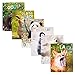 Mead 2-Pocket Folder, Paper, Baby Zoosters, Assorted Designs, 6 Pack (38186)