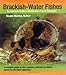 Brackish-Water Fishes: An Aquarist's Guide to Identification, Care & Husbandry by