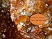 Gold Plated Raw Citrine Quartz Crystal Necklace Yellow Healing Gemstone Jewelry on 26