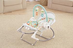fisher price power plus swing