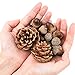 Ageomet 160pcs Artificial Acorns and Pinecones Set Hanging Ornaments for Christmas Décor