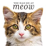 You Had Me at Meow by 