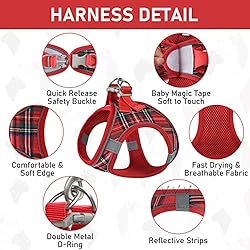 GAMUDA Small Pet Harness Collar and Leash Set, Step