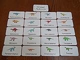 20 laminated Preschool Dinosaur Flashcards. Child educational learning activity. A Handmade teacher resource.