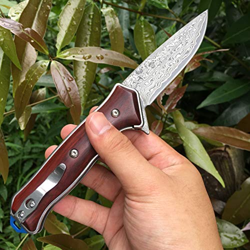 ALBATROSS HGDK001 EDC Classic Damascus Folding Camping Pocket Knives