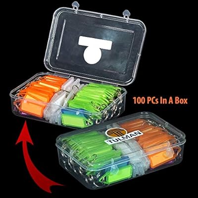 TULMAN 100 Pcs Multicolor ID Name Keyrings & Keychains Key Tags with Label - 1 Box - 19x13x5