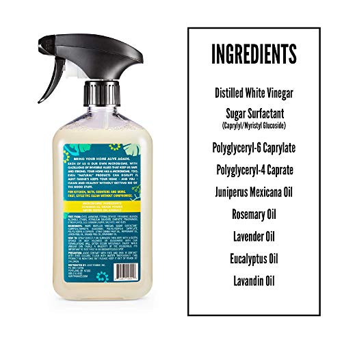 Aunt Fannie's All Purpose Cleaning Vinegar - Multi-Purpose Surface Spray Cleaner - 16.9 FL OZ - Bright Lemon