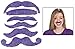 Purple Mustache Assortment One Dozen/Novelties/Toys/Party Supplies/