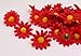 MXXGMYJ 100Pcs Artificial Flowers Wholesale Fake Flowers Heads Gerbera Daisy Silk Flower Heads Sunflowers Sun Flower Heads for Wedding Party Flowers Decorations Home D¨¦cor Red
