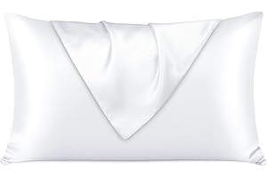 LULUSILK 19 Momme Silk Pillow Cases for Hair and Skin-Treat Yourself Well You Deserve Better, Hidden Zipper, White, Standard 