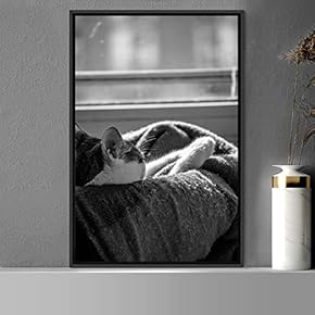signwin Framed Canvas Wall Art Duotone Cat Animals...
