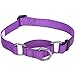 Blueberry Pet Martingale Safety Dog Collar, Dark Orchid, Medium 14.5