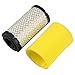 HIPA 793569 793685 Air Filter for Briggs & Stratton 4241 5415 John Deere GY21055 MIU11511 LA125 LA115 D100 D110 D120 GY21055 MIU11511 Lawn Mower Tractor (Pack of 2)
