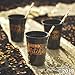 Drink Up Witches Halloween Party Cups (bulk 50 pack of disposable cups)