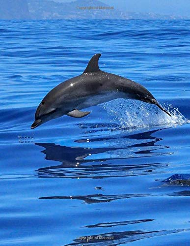 Notebook Bottlenose Dolphin Ocean Sea Marine Animals Marine Biology Porpoise River Dolphins Golding Primrose Amazon Com Books