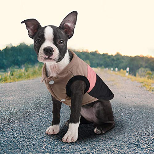 Idepet Color Patchwork Padded Pet Vest with Leash Kenya Ubuy