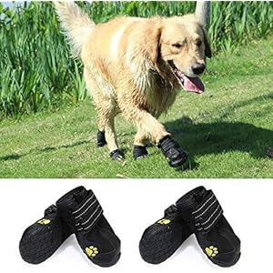 Amazon Com Tr Botlar Ve Patikler Evcil Hayvan Urunleri