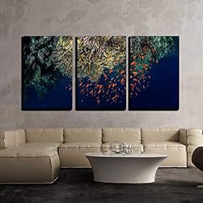 3 Piece Canvas Wall Art - Top View of The Coral Reefs with Tiny Fish in The Ras Muhammad National Park. Egypt - Modern Home Art Stretched and Framed Ready to Hang - 16"x24"x3 Panels