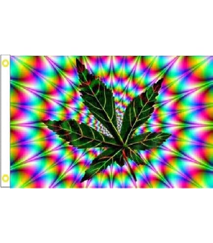 thumbnail interactive-video image 1 of Trade Winds 3x5ft USA Flag With Marijuana Weed Leaf – 50 Stars, Rough Tex 100D Polyester 1 of 6