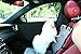 PETTOM Pet Car Door Protector Dog Car Door Cover 28 X 22inch Waterproof Vehicle Door Guard Sturdy Anti Scratch Water-Resistant Set of 2 Machine Washable