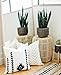 Woven Nook - Modern & Luxurious 18