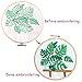 Unime Full Range of Embroidery Starter Kit with Partten, Cross Stitch Kit Including Embroidery Cloth with Color Pattern, Bamboo Embroidery Hoop, Color Threads, and Tools Kit (Monstera)