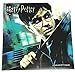 2019 Harry Potter Wall Calendar 16 Month