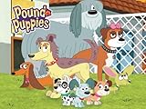 Pound Puppies Season 1