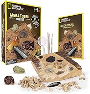 NATIONAL GEOGRAPHIC Mega Dig Kits - Gemstones or Fossil Specimen Dig Kits for Kids, Excavation Tools Included,
