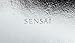 Kanebo Sensai Cellular Performance Wrinkle Repair Eye Cream 15ml/0.5oz