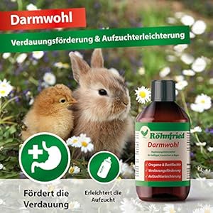 Röhnfried Darmwohl integratore Alimentare (250 ml) per roditori, pollame e Piccoli Animali, digestione favorita e…