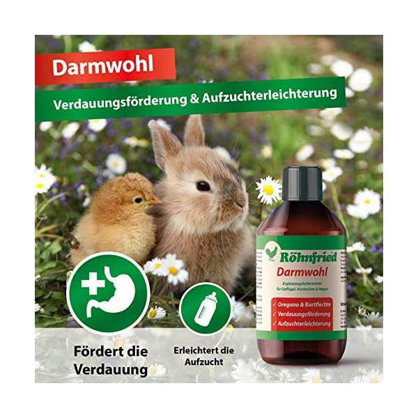 Röhnfried Darmwohl integratore Alimentare (250 ml) per roditori, pollame e Piccoli Animali, digestione favorita e…