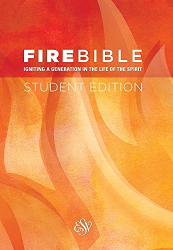 Fire Bible for Kids: New International Version: Life Publishers