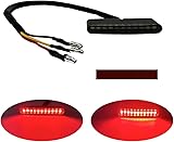LENJIEMT Motorcycle Tail Light Strip mini Brake