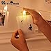 Homo Trends Photo Clips Led 40 Pack with String Rope free as a Gift | Led Art clips Best for Photos, Cards, Memos, Art Work & Birthday Parties by