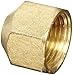 Anderson Metals 56108 Brass Pipe Fitting, Cap, 1/2