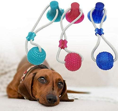 Amazon.com: Hilyo - Juguete multifunción para morder molar para mascotas, cuerda de perro, juguete de bola de goma con ventosa, juguete para masticar, limpieza de dientes, Verde: Mascotas