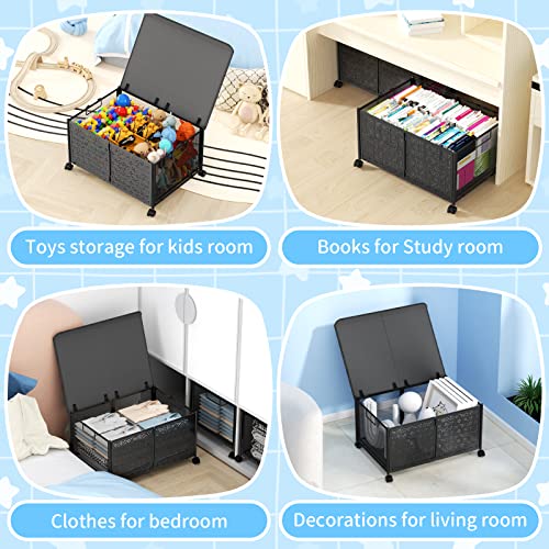 PHINOX Toy Box Storage, Toy Chest Toy Organizers and Storage Bins
