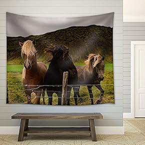Landscape with 3 Horses and Mountains - Fabric Wall Tapestry Home Decor - 51x60 inches