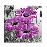 Adarl 5D DIY Diamond Painting Rhinestone Pictures of Crystals Embroidery Kits Arts, Crafts & Sewing Cross Stitch Peony 6