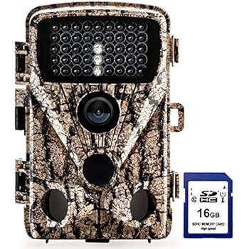 Amazon.com: Foxelli Trail Camera – 14MP 1080P Full HD
