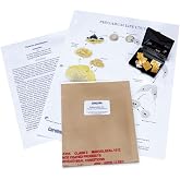 Carolina Physarum polycephalum Sclerotium &ndash; Dormant Slime Mold Culture | Transitions to Active Feeding Stage | Ideal for Life Cycle and Behavior Studies