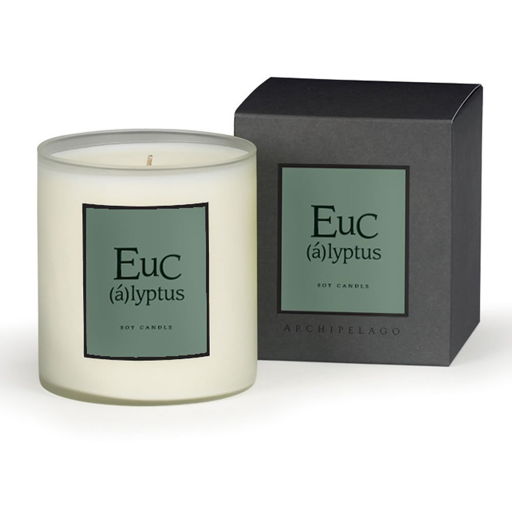 Archipelago Botanicals AB Home Soy Candles Eucalyptus Amazon.ca